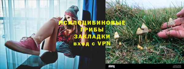ECSTASY Балахна