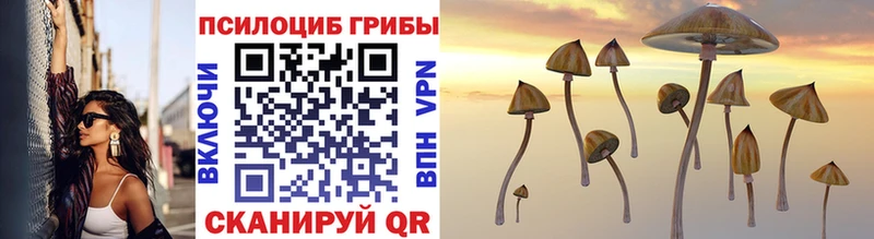 Псилоцибиновые грибы Cubensis Губкинский